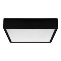 Rabalux 71247 stropné LED svietidlo Lauri, štvorec, čierna