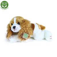 RAPPA plyšový pes Cavalier King Charles spaniel ležiaci, 30 cm, ECO...