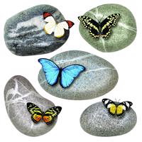 Samolepiaca dekorácia Butterflies on Stones, 30 x 30 cm