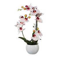 Umelá Orchidea v keramickom kvetináči biela, 42 cm 1118033-10