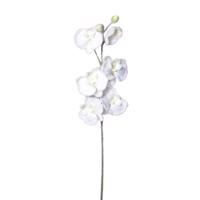 Umelá zasnežená Orchidea biela, 81 cm